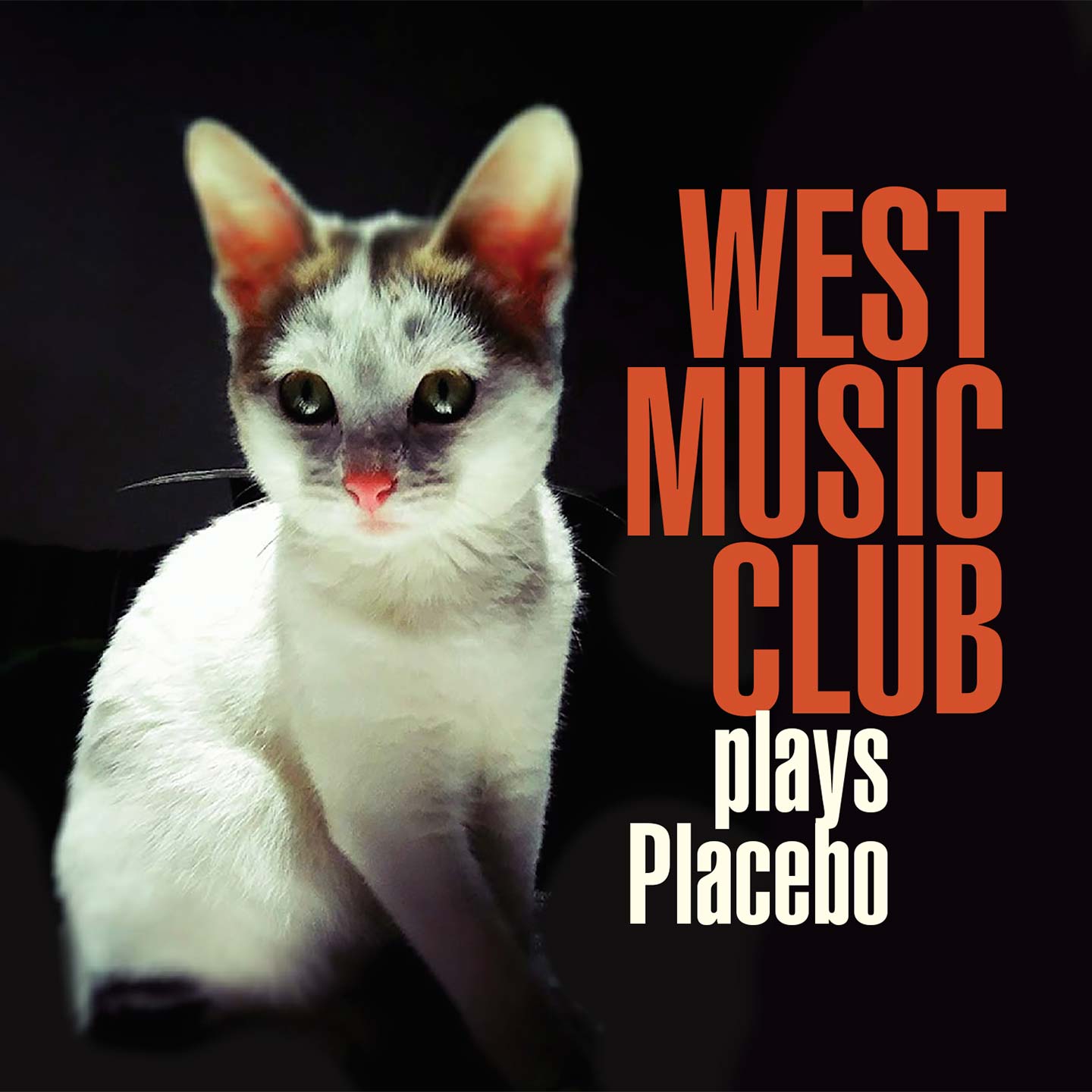 West Music Club Placebo